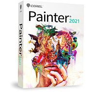 Painter 2021 ML (Electronic License) - Graphics Software