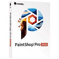 PaintShop Pro 2020 ML (Electronic Licence) - Graphics Software