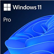 Microsoft Windows 11 Pro HU (OEM) - Operační systém