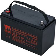 Battery T6 Power NP12-100, 12V, 100Ah - UPS Batteries