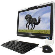 MSI WIND TOP AE2040-008CS - All In One PC