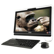 MSI WIND TOP AE2050-061CS - All In One PC