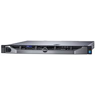 Dell PowerEdge R230 - Server