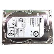 DELL 3.5 "1TB HDD, NL SAS, 7200ot - Server HDD