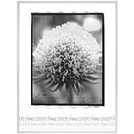 Tradag Fotorámeček 70×100 bílý - Fotorámeček
