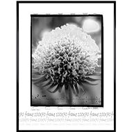 Tradag Fotorámeček 70×100 černý - Fotorámeček