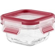 Tefal Box 0.2l MASTER SEAL GLASS square glass - Container