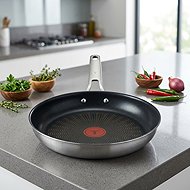 Tefal Extreme G76304 Pan 24 cm - Pan