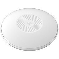 Teltonika WiFi Access Point TAP400 - WiFi Access Point