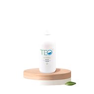 T-E-O cleaning concentrate 250ml - Cleaning Agent