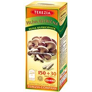 TEREZIA Oyster Mushroom - Oyster Mushroom