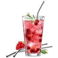 TESCOMA myDRINK Stainless-steel Straws, 4 pcs, with Cleaning Brush - Straw