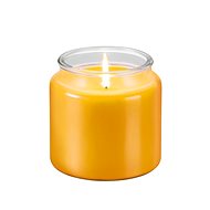 TESCOMA Scented Candle FANCY HOME 410g, Lemongrass 906450.00 - Candle
