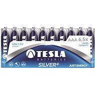 Tesla Batteries AA Silver + 10pcs - Disposable Battery