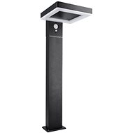 Tesla LED Solar Garden Light TS101, 50 cm, up to 300 lumens, 3000 K, PIR, IP44 - Garden Lighting