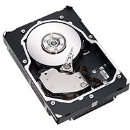  Fujitsu 2.5 "HDD 300GB 6G SAS, 10000ot, hot plug, EP  - Server HDD