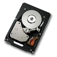  Fujitsu 3.5 "HDD 600 GB, SAS 6G, 15000ot, hot plug (S26361-F4005-L560)  - Server HDD
