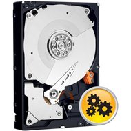 FUJITSU 3.5" HDD 1000GB, SATA II, 7200ot, non hot plug (S26361-F3334-L100) - Server HDD