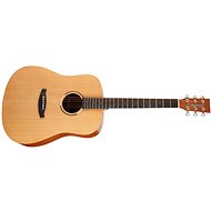 TANGLEWOOD TWR2 D - Acoustic Guitar