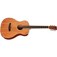 TANGLEWOOD TWU PE - Acoustic-Electric Guitar