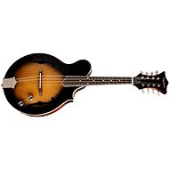 TANGLEWOOD TWMF VS E - Mandolin