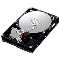 IBM 3,5 "HDD 2000 GB SATA II 7200 rpm. Simple-Swap - Server-Festplatte