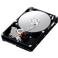 IBM HDD 300GB Hot Swap - Server HDD