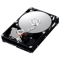  IBM 2.5 "HDD 1000 GB NL-SAS 6G 7200. Hot-Swap  - Server HDD