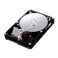  IBM 3.5 "HDD 600 GB 6G SAS 15000 rpm. Gen2 Hot-Swap  - Server HDD