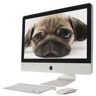 APPLE iMac 21.5" CZ - Computer