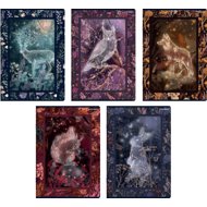 TOP 2000 Fairy-Tale Story A5, lined, 32 sheets - mix of motifs (1 pcs) - Exercise Book