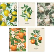 TOP 2000 Summer Harvest Club A5 564, lined, 60 sheets (1 pcs) - Exercise Book