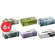 TENTO Family Box (6× 120 db), többféle szín - Papírzsebkendő