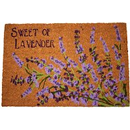 HOME ELEMENTS Mat with Lavender Motif, 40x60cm - Doormat