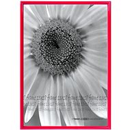 Tradag Photo frame 13 × 18 red - Photo Frame
