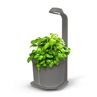 Tregren Genie Kitchen Garden Grey - Flower Pot