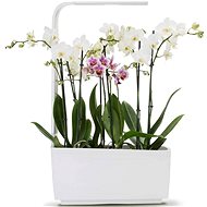 TREGREN T6 Kitchen Garden, White - Smart Flower Pot