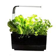 TREGREN T6 Kitchen Garden, Black - Smart Flower Pot