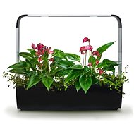 TREGREN T12 Kitchen Garden, Black - Smart Flower Pot