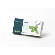 TREGREN Basil (2 seed pods) - Herbs