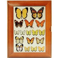 Tradag Butterfly - Photo Album
