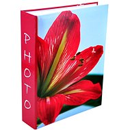 Tradag Clivia - Photo Album