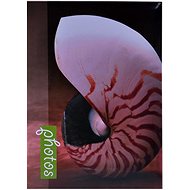 Tradag Mini Conch - Photo Album