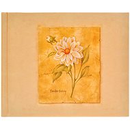 Tradag Dahlia - Photo Album