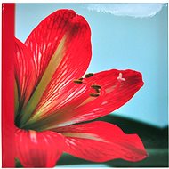 Tradag Clivia Memo - Photo Album