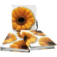 TRADAG Gerbera duó - Fotóalbum