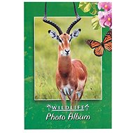 Tradag Antelope - Photo Album