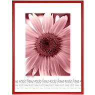 Tradag Photo Frame 40 x 50 Red - Photo Frame