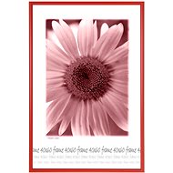 Tradag Photo Frame 40 x 60 Red - Photo Frame