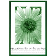 Tradag Photo Frame 40 x 60 Green - Photo Frame